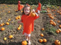 Camila's pumpkin Camila's pumpkin
